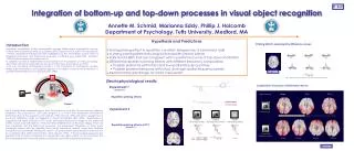 Integration of bottom-up and top-down processes in visual object recognition