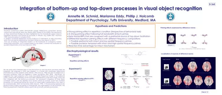 integration of bottom up and top down processes in visual object recognition