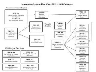 MIS 216 Intro to Business Application Development or CSC 121 Intro to Computer Science