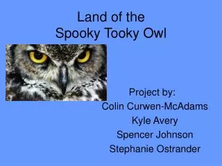 Land of the Spooky Tooky Owl