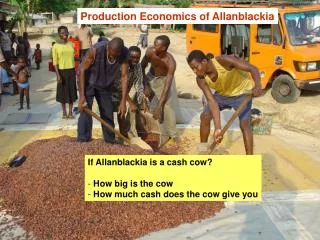Production Economics of Allanblackia
