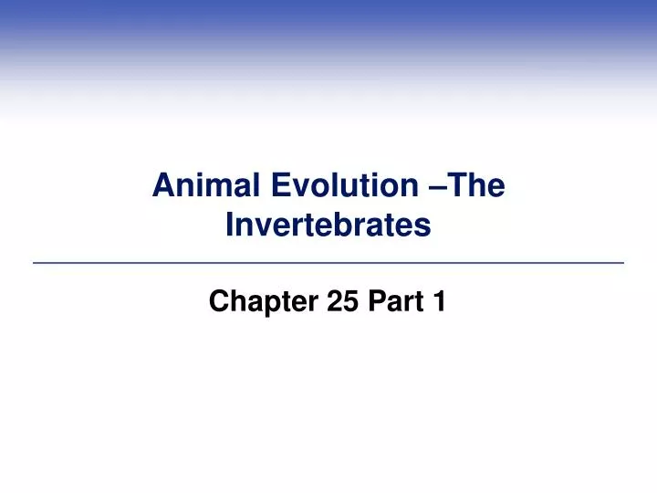 animal evolution the invertebrates