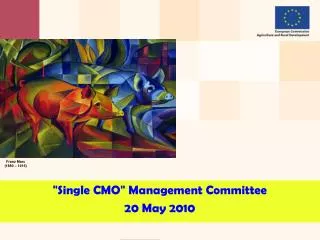 &quot; Single CMO &quot; Management Committee 20 May 2010