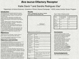 Bos taurus Olfactory Receptor Katie Davis 1,2 and Sandra Rodriguez-Zas 1