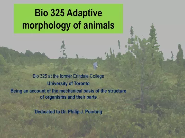 bio 325 adaptive morphology of animals