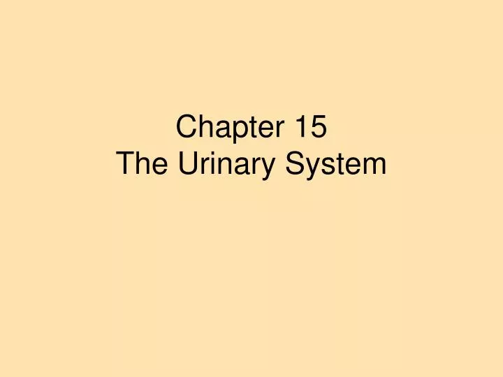 chapter 15 the urinary system