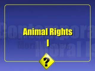 Animal Rights