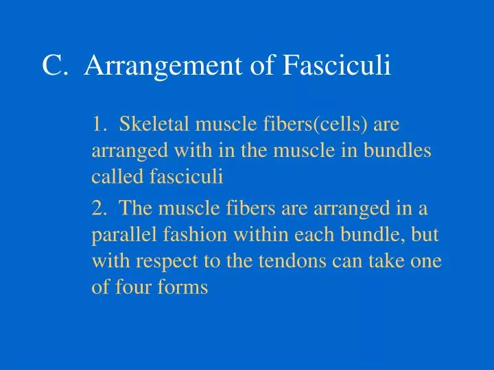 c arrangement of fasciculi