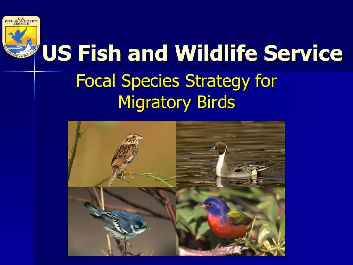 us fish and wildlife service
