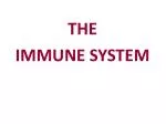 THE IMMUNE SYSTEM - slide 1
