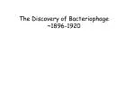 The Discovery of Bacteriophage ~1896-1920 - slide 1