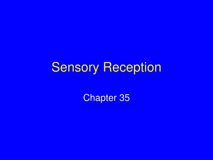 sensory reception
