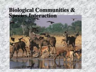 Biological Communities &amp; Species Interaction