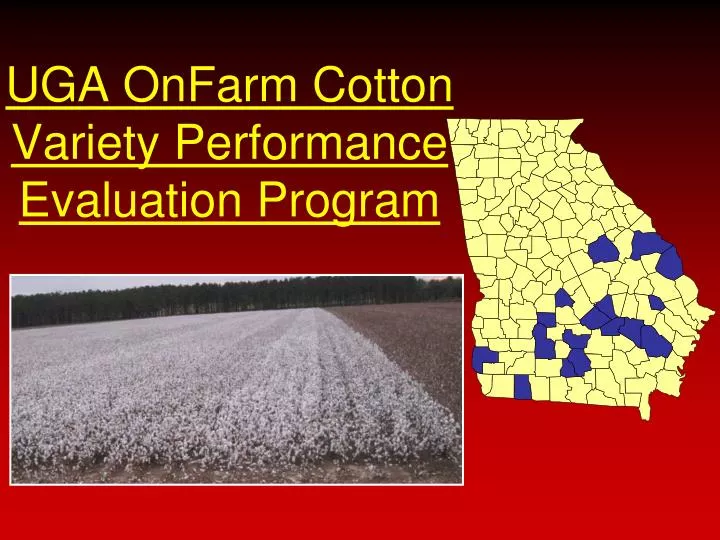 uga onfarm cotton variety performance evaluation program