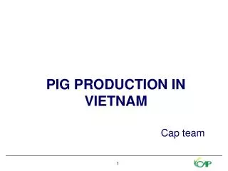 PIG PRODUCTION IN VIETNAM