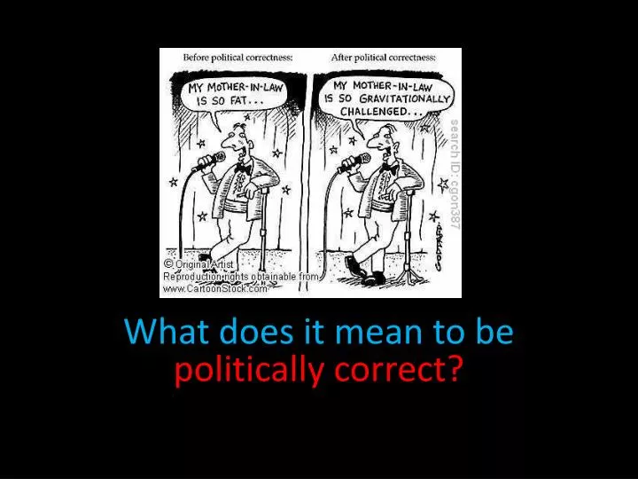 what does it mean to be politically correct