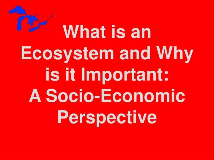what is an ecosystem and why is it important a socio economic perspective