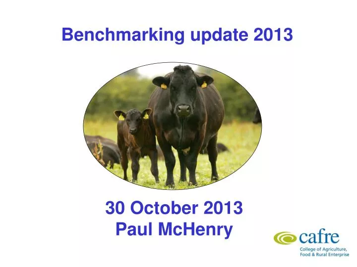 benchmarking update 2013