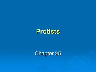 Protists