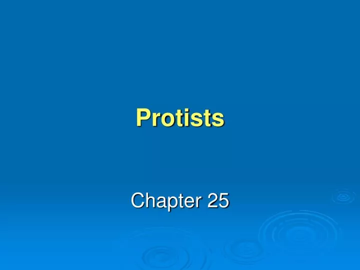 protists