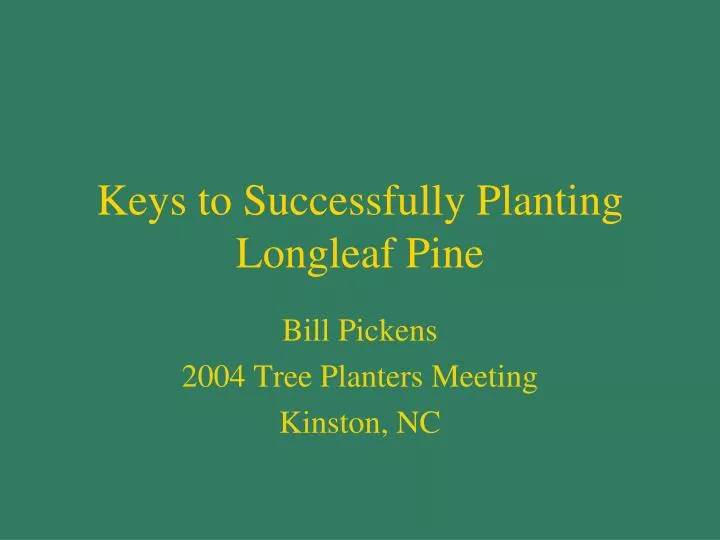 keys to successfully planting longleaf pine