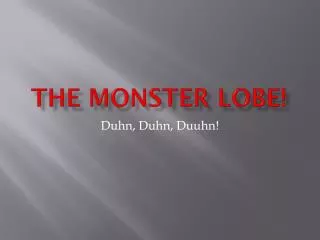 The Monster Lobe!