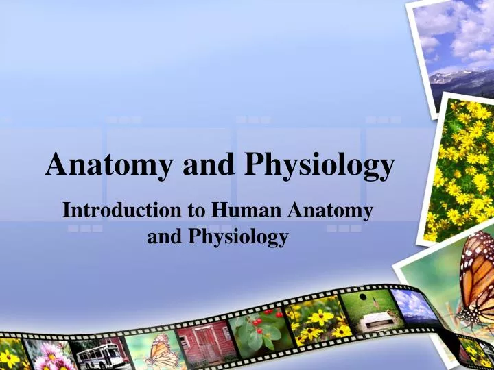 anatomy and physiology