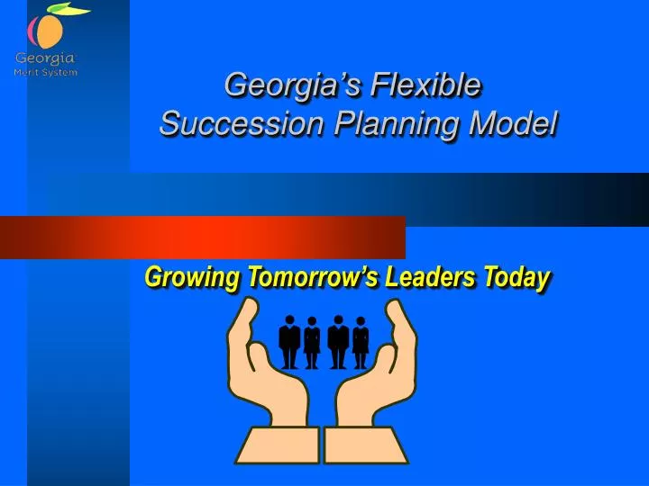 georgia s flexible succession planning model