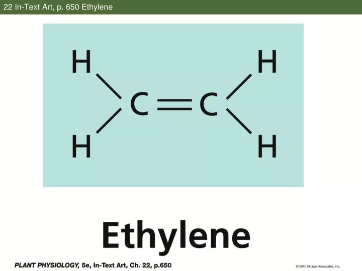 22 in text art p 650 ethylene