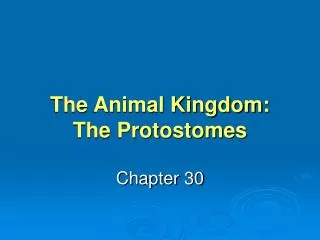 The Animal Kingdom: The Protostomes
