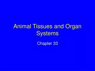 Animal Tissues and Organ Systems