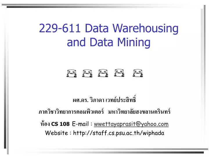 229 611 data warehousing and data mining