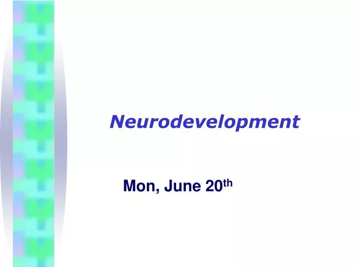 neurodevelopment