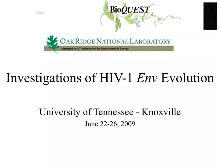 investigations of hiv 1 env evolution