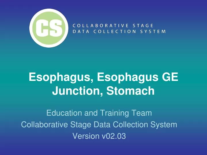esophagus esophagus ge junction stomach