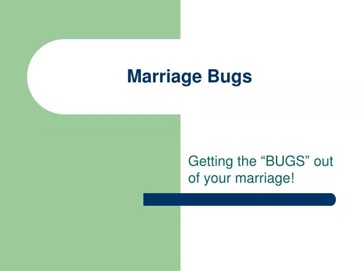 marriage bugs