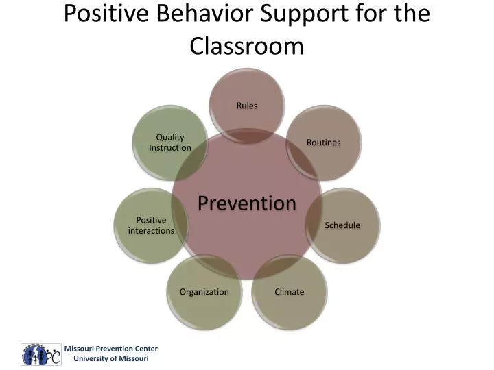 positive behavior support for the classroom