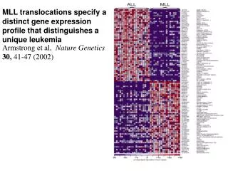 MLL translocations specify a distinct gene expression profile that distinguishes a unique leukemia