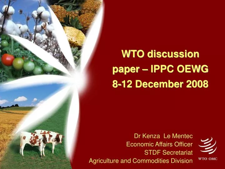 wto discussion paper ippc oewg 8 12 december 2008