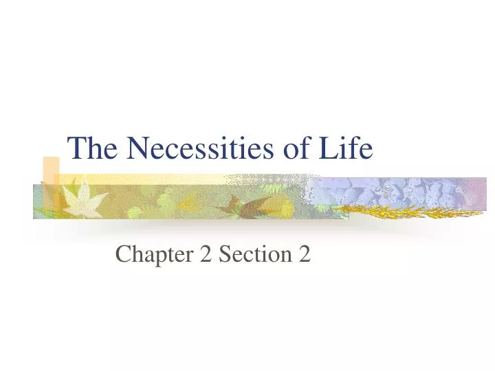 the necessities of life