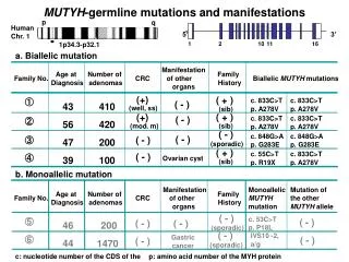 MUTYH -germline mutations and manifestations