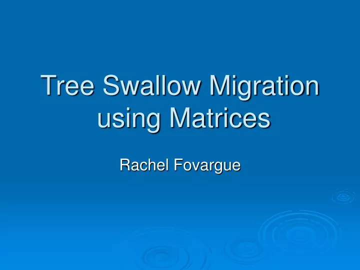 tree swallow migration using matrices