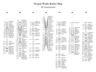 Oregon Wolfe Barley Map 187 classical loci
