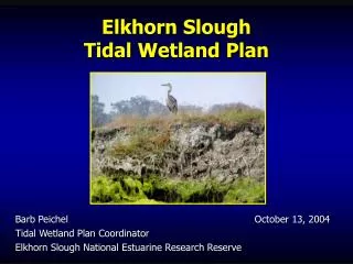 Elkhorn Slough Tidal Wetland Plan