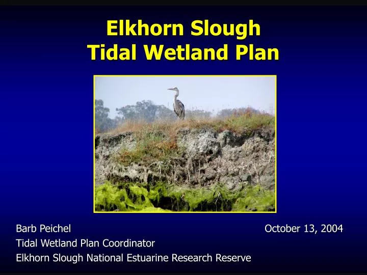 elkhorn slough tidal wetland plan
