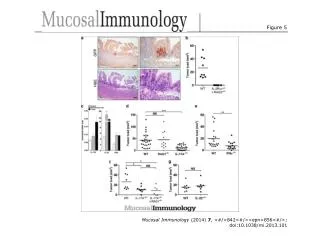 Mucosal Immunology (2014) 7 , &lt;#/&gt;842&lt;#/&gt;&lt;epn&gt;856&lt;#/&gt;; doi:10.1038/mi.2013.101