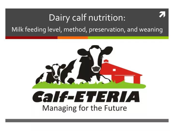 dairy calf nutrition milk feeding level method preservation and weaning