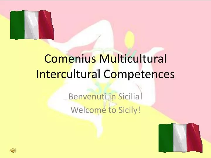comenius multicultural intercultural competences