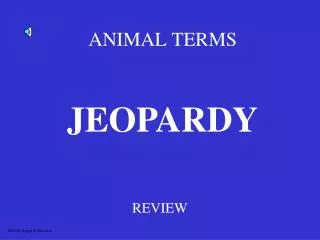 ANIMAL TERMS