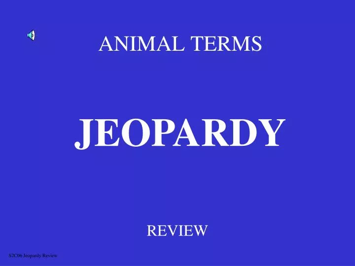 animal terms